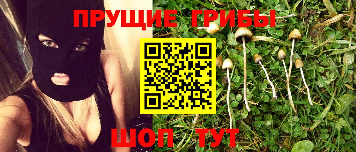 Псилоцибиновые грибы Psilocybine cubensis  Псилоцибиновые грибы мухоморы  Серов  Вход с VPN 